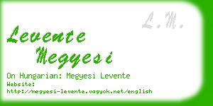 levente megyesi business card